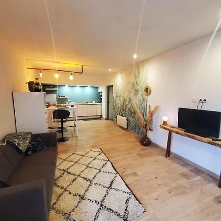 Hotes Entier Millau 아파트