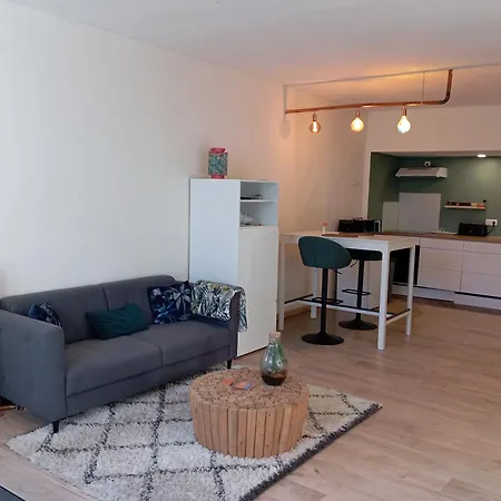 Hotes Entier Millau 아파트 *