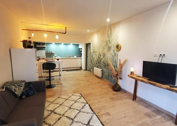 Hotes Entier Millau Lejlighed