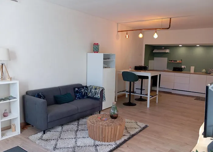 Hotes Entier Millau Lejlighed *